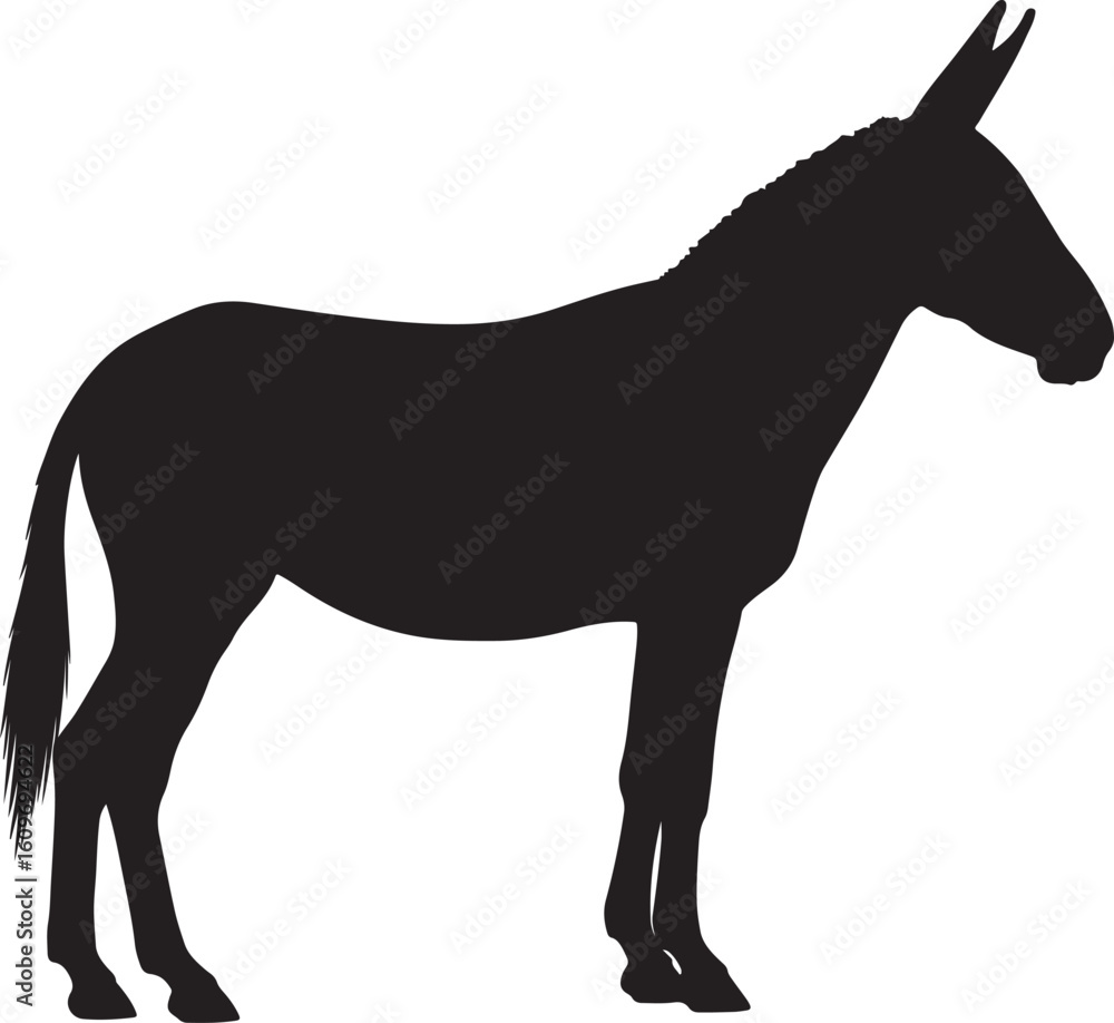 Fototapeta premium Mule Silhouette Vector Illustration - Black Hybrid Equine Outline