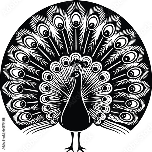 Elegant peacock illustration with intricate feather details and vibrant color palette suitable for decorative projects