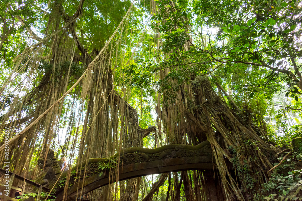 Obraz premium Dragon Bridge in Monkey Forest Sanctuary, Ubud, Bali, Indonesia