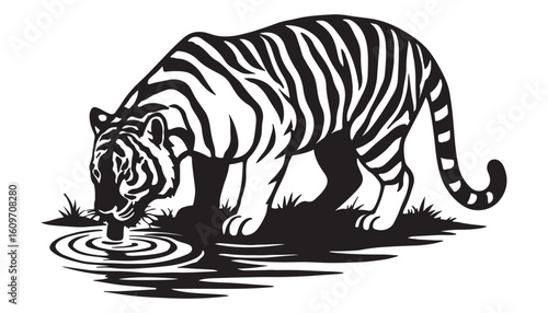 Wild Tiger Drinking Water – Jungle Animal Silhouette Vector

