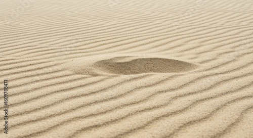 Ripples in the sand with a circular indentation