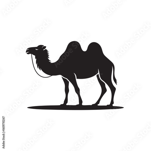 Black silhouette of a dromedary camel standing on a plain vector