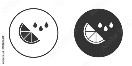 Citrus slice icon symbol sign in solid style.