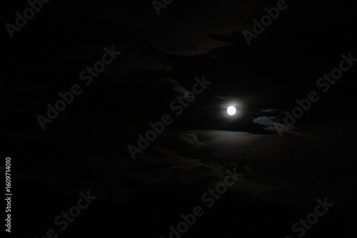 Fotografia A full moon night. Beautiful moonlit night.