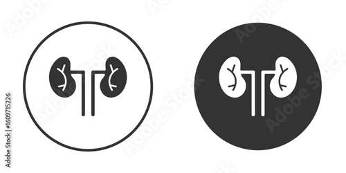 Kidneys icon symbol sign in solid style.