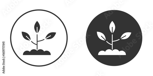 Seedling icon symbol sign in solid style.