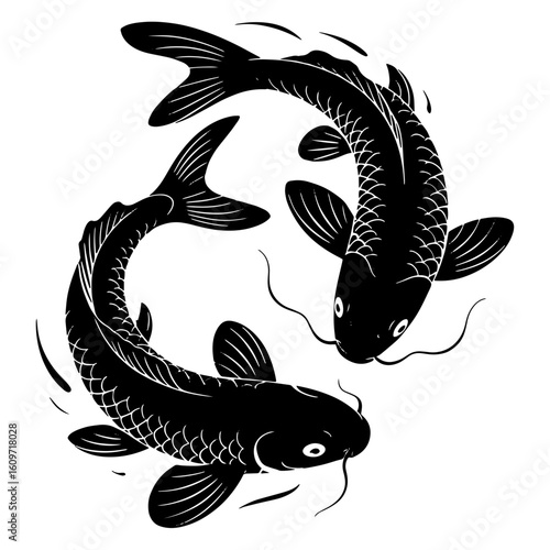 Koi fish vector illustration Japanese Kohaku pattern isolated on white