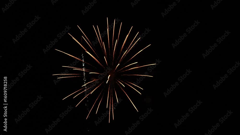 Exhibición fuegos artificiales 2