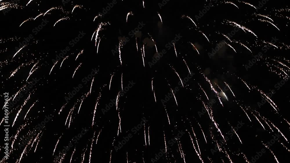 Exhibición fuegos artificiales