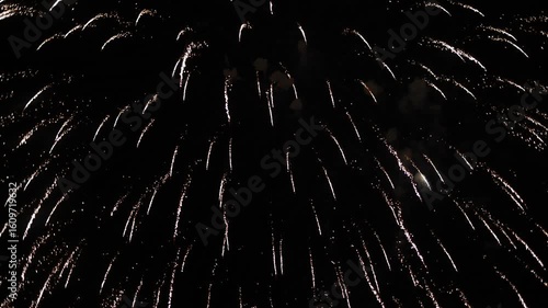 Exhibición fuegos artificiales 