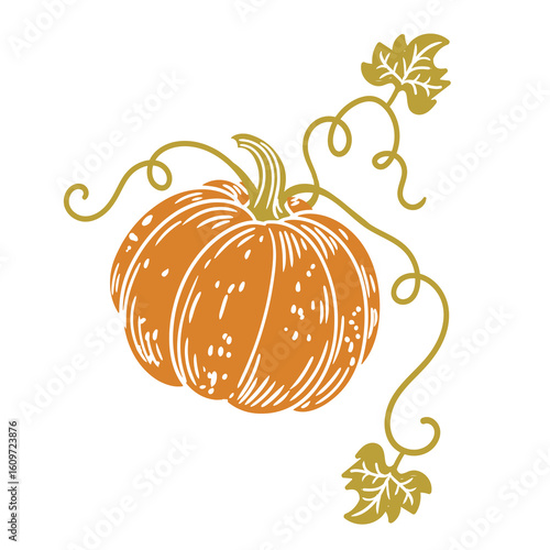 Original hand-drawn illustration of a Halloween autumn pumpkin in a minimalist style. illustrations for posters, cards, and graphic design.