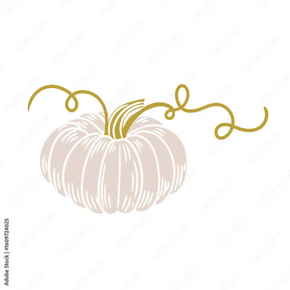 Obraz premium Original hand-drawn illustration of a Halloween autumn pumpkin in a minimalist style. illustrations for posters, cards, and graphic design.