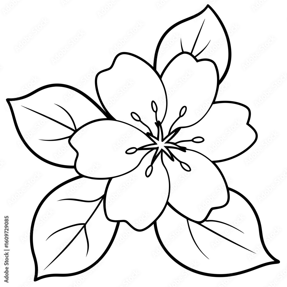 Obraz premium Cherry Blossom Floral Vector Design for Spring Botanical Art