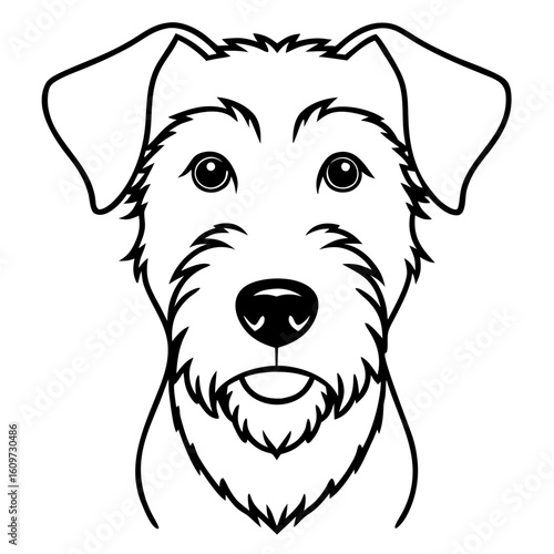 Airedale terrier face