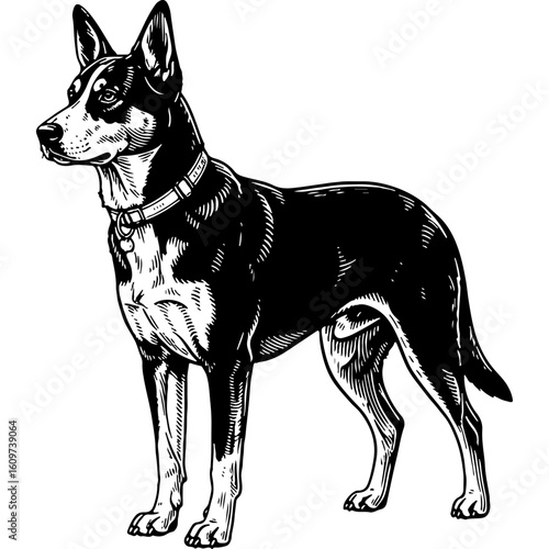 Striking Woodcut Style Dog Illustration: Bold Lines, Black and White Engraving of a Standing Canine