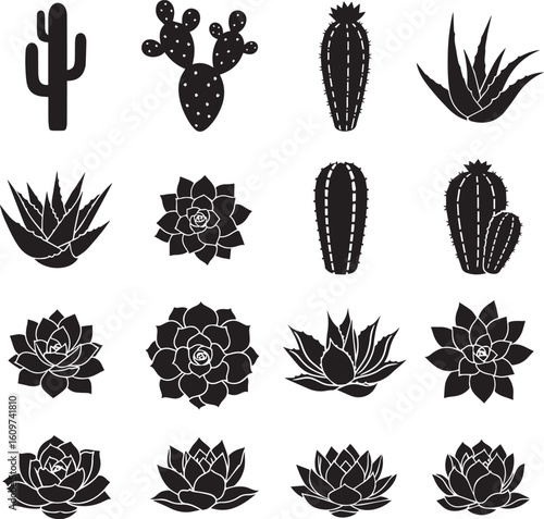 Collection of black graphic silhouettes of various cacti and succulent plants, including saguaro, prickly pear, aloe, and echeveria icons.