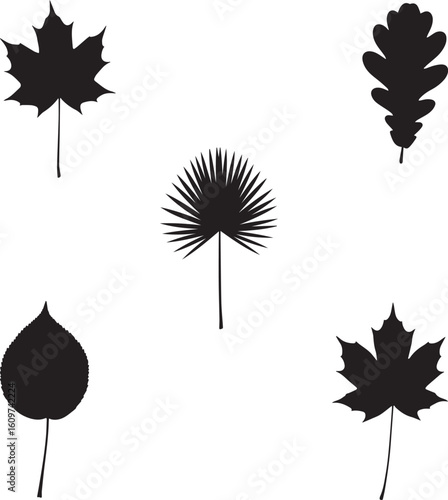 A diverse collection of five black leaf silhouettes, including maple, oak, and palm frond shapes.
