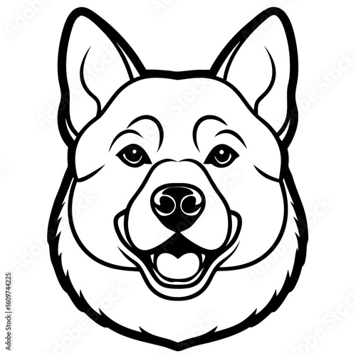 Alskan malamute face