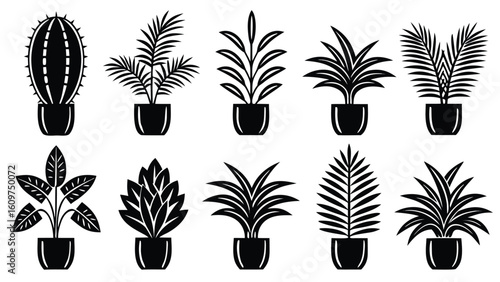 Collection of various potted house plants silhouette set in graphic illustration style black and white