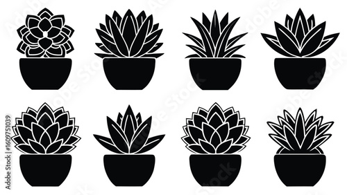 Collection of various potted house plants silhouette set in graphic illustration style black and white