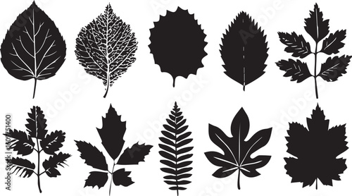 Decorative black fall leaf icons set with mixed botanical shapes
