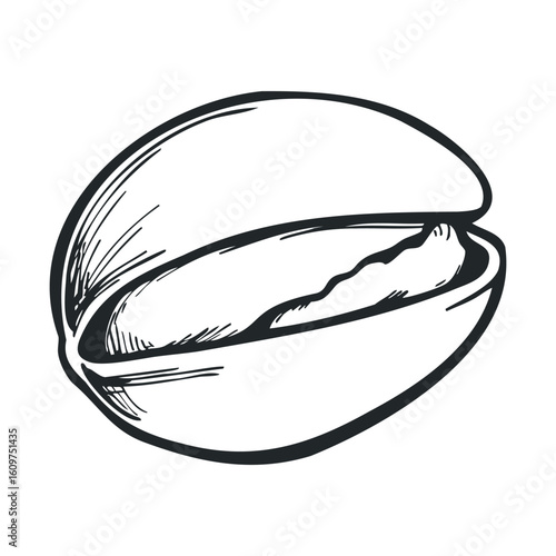Black and white pistachio nut sketch in minimalist style