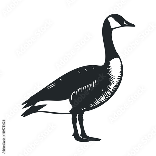 Silhouette of a standing canadian goose with detailed feather patterns