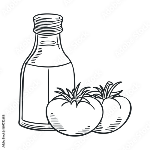 Vinegar bottle and tomatoes line art illustration