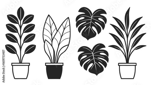 Collection of various potted house plants silhouette set in graphic illustration style black and white
