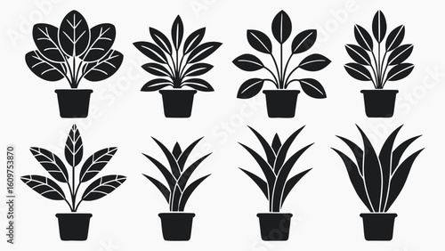 Collection of various potted house plants silhouette set in graphic illustration style black and white