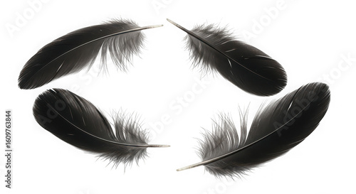 Four delicate black feathers arranged in a circular pattern on a dark background