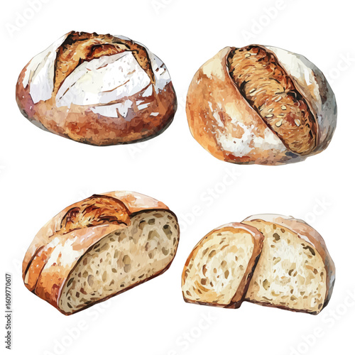 A hand-drawn illustration painting of a sourdough bread set in soft watercolor style, featuring delicate brush strokes, isolated on a white background, artistic, painted design, EPS format, bread set
