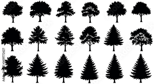 Wallpaper Mural Diverse tree silhouettes collection for nature design projects Torontodigital.ca