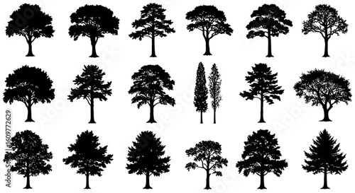 Diverse tree silhouettes collection showcasing various species in simplistic design