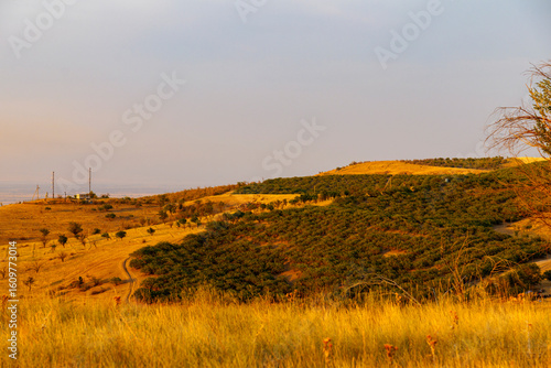 Vibrant summer mountains landscape - meadows and woods in highlands