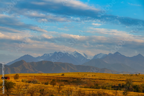 Vibrant summer mountains landscape - meadows in highlands