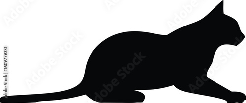 Photography Cat Silhouette Vector Designs