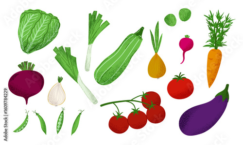 Vegetables set on white background. Hand-drawn eggplant, carrot, tomato, beet, onion, green pea, and zucchini. Clipart for healthy food design and kitchen decor. Vector illustration