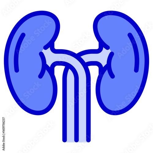 Kidneys Icon