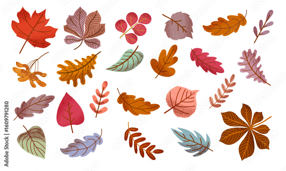 Fototapeta premium Large set of colorful textured autumn leaves. Fall foliage. Leaves of chestnut, oak, linden, rowan, ash, aspen, maple seeds. Vector illustration