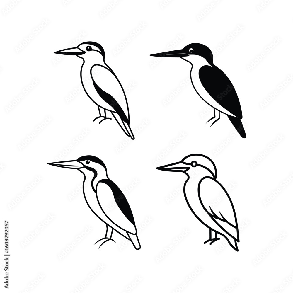 Obraz premium Kingfisher set of vector art illustration