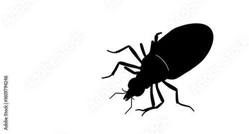 bug silhouette, insect vector, insect icon, beetle silhouette, butterfly silhouette, ant silhouette, fly silhouette, mosquito silhouette, bee silhouette, wasp silhouette, moth silhouette, dragonfly si