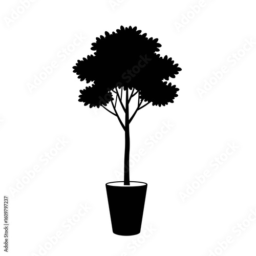Silhouette of potted tree with lush foliage on transparent background  