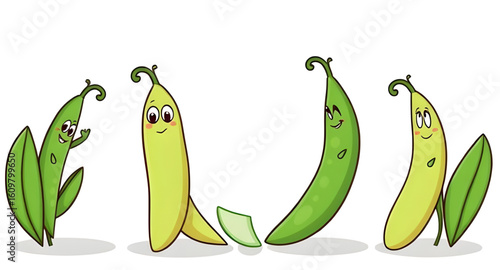 vector illustration of a green peas