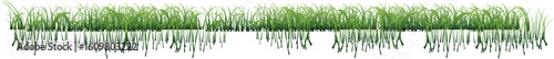 Green Grass Isolated With White Background