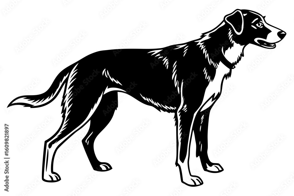 Fototapeta premium charlie dog sihouette black vector