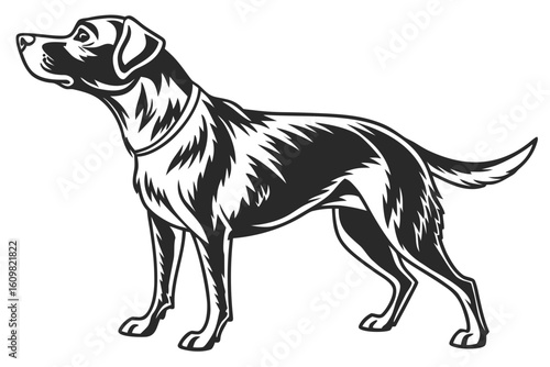 Принти на полотні charlie dog sihouette black vector