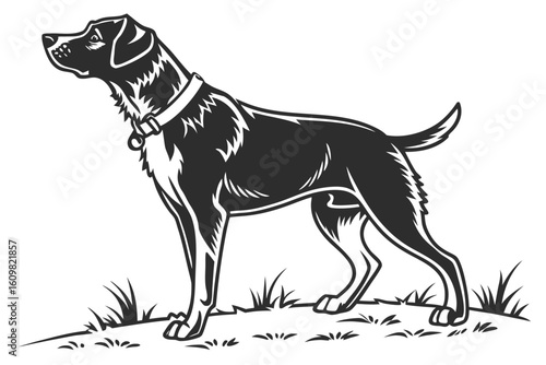 charlie dog sihouette black vector