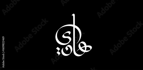 The name Hady primarily means "gift" or "present" in Arabic, symbolizing generosity and kindness.