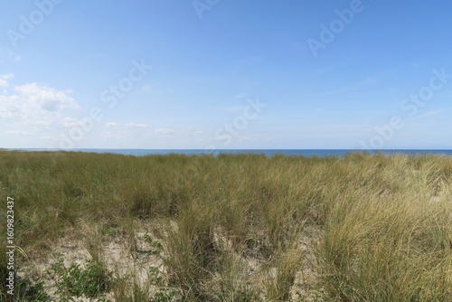 Wallpaper Mural Hinter dem Strandgras auf Dünen des Ostseebads Wustrow in Deutschland ist die Ostsee zu sehen. Es ist ein sonniger Sommertag auf der Halbinsel Fischland. Torontodigital.ca
